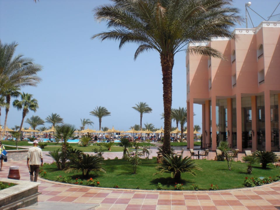 Weg zum Strand Beach Albatros Resort