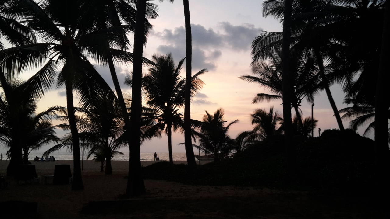 Strand Hotel Golden Star Beach