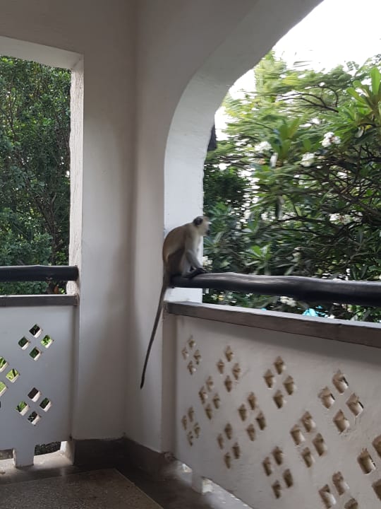 Zimmer Hotel Southern Palms Beach Resort