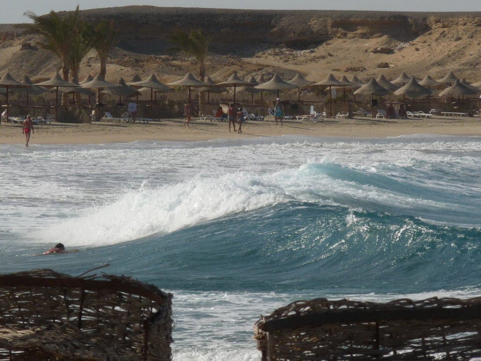 Schöne grosse Wellen, auch gefährlich! Malikia Resort Abu Dabbab