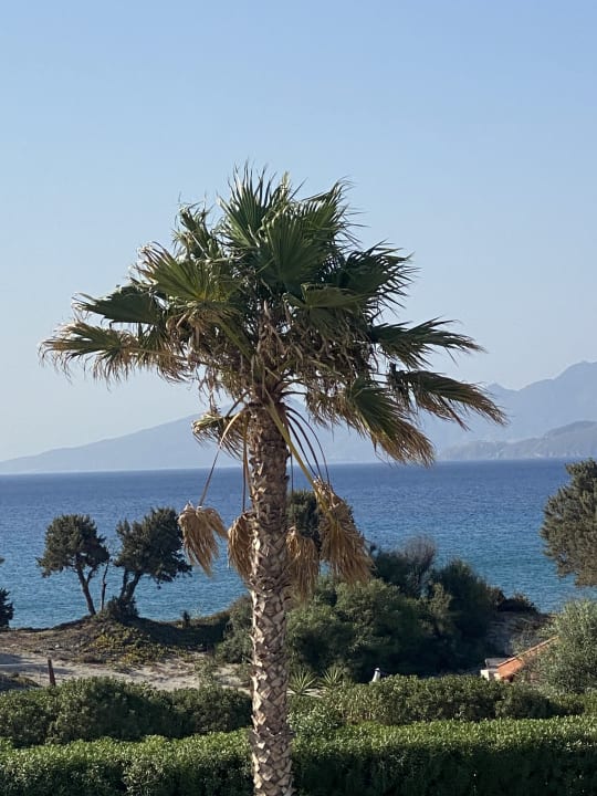 Ausblick Porto Bello Royal