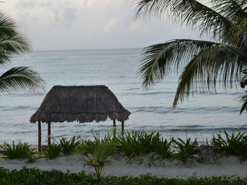 Chemin menant à la plage Akumal Bay Beach & Wellness Resort