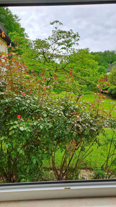 Zimmer Haus Kronenthal