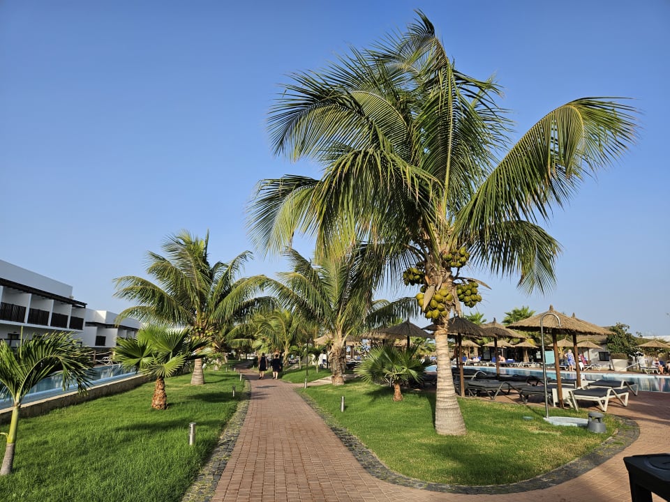 Gartenanlage Meliá Laguna Beach