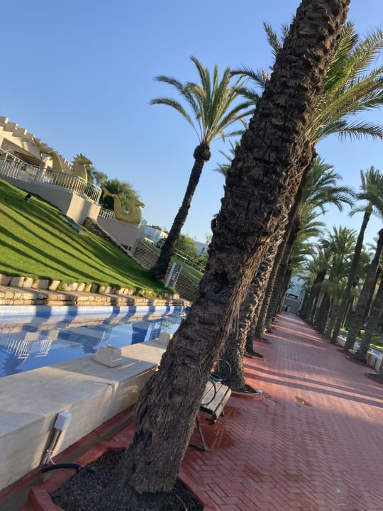 Pool Monachus Family Resort Sorgun