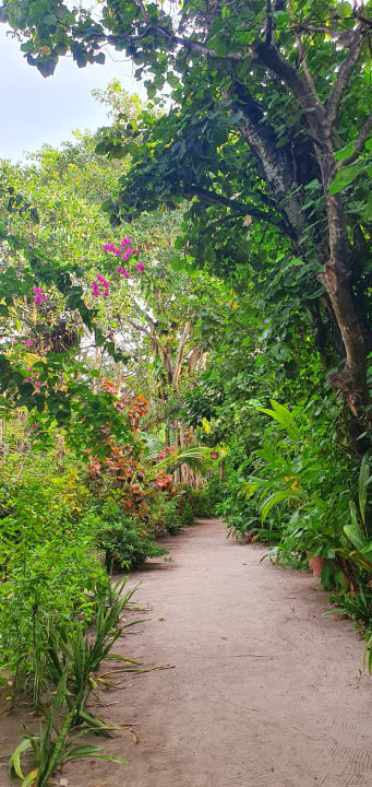 Gartenanlage NH Collection Maldives Reethi Resort
