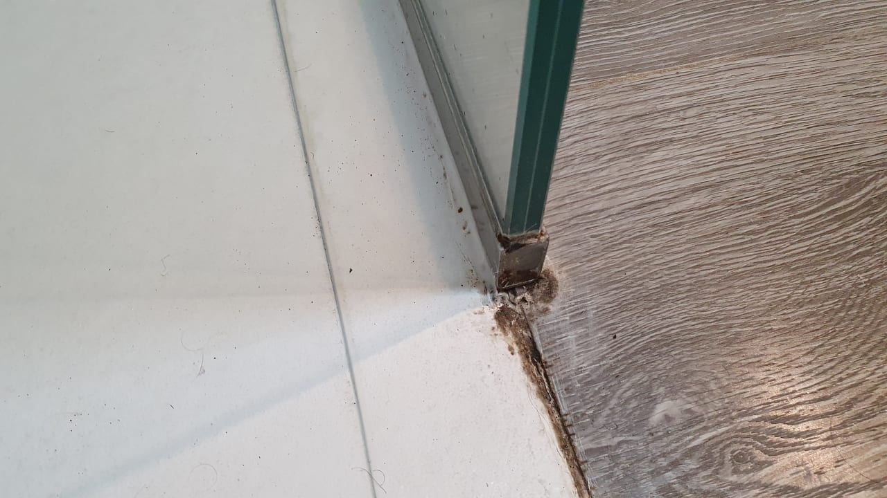 Zimmer Hotel RF San Borondon