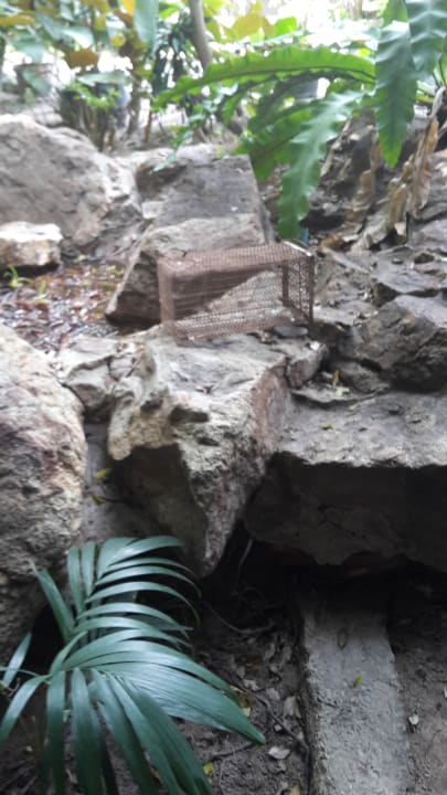 Ausblick Hotel The Cottage