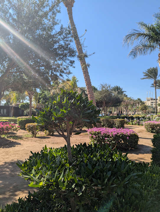 Gartenanlage Steigenberger ALDAU Beach Hotel