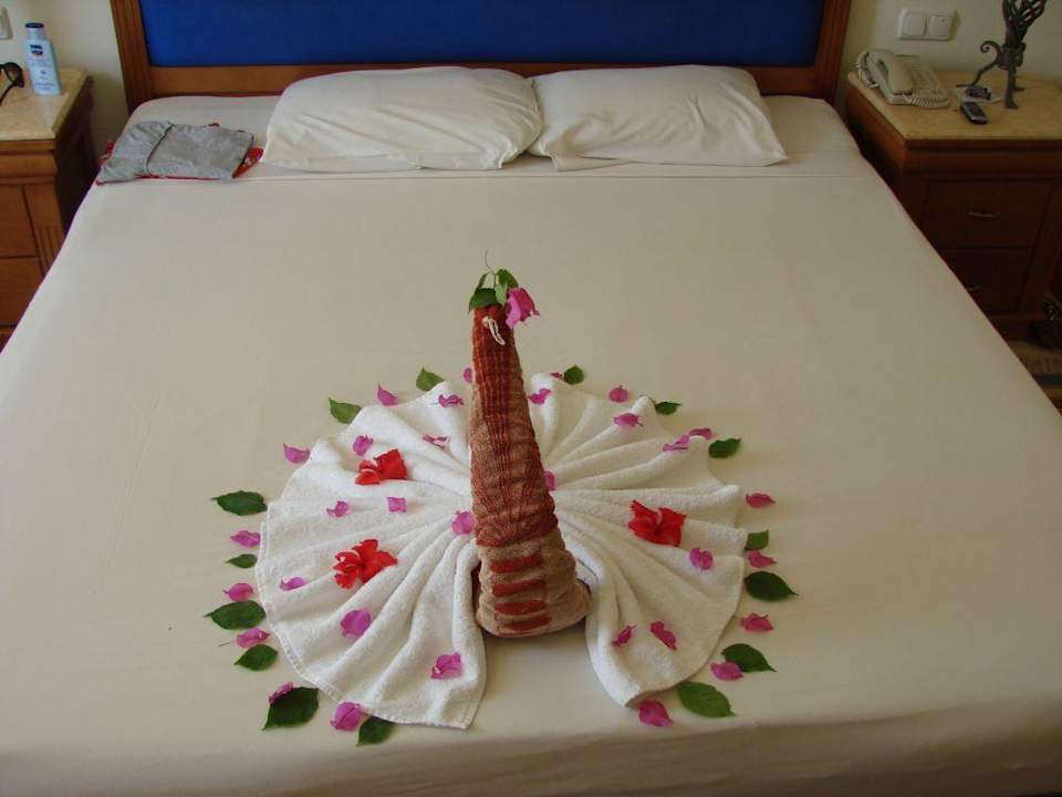 Paw w pokoju Hotel Amarante Garden Palms Resort