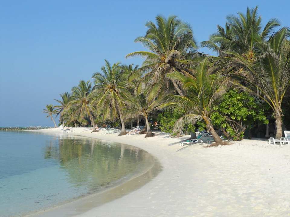 Palmenbucht Summer Island Maldives