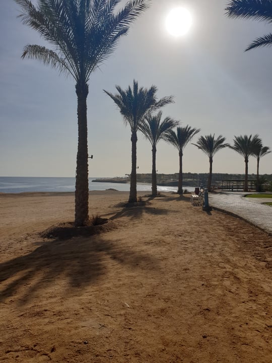 Strand Jaz Solaya