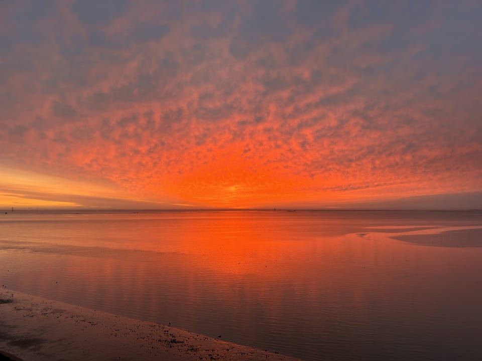 Ausblick Fliegerdeich Hotel & Restaurant
