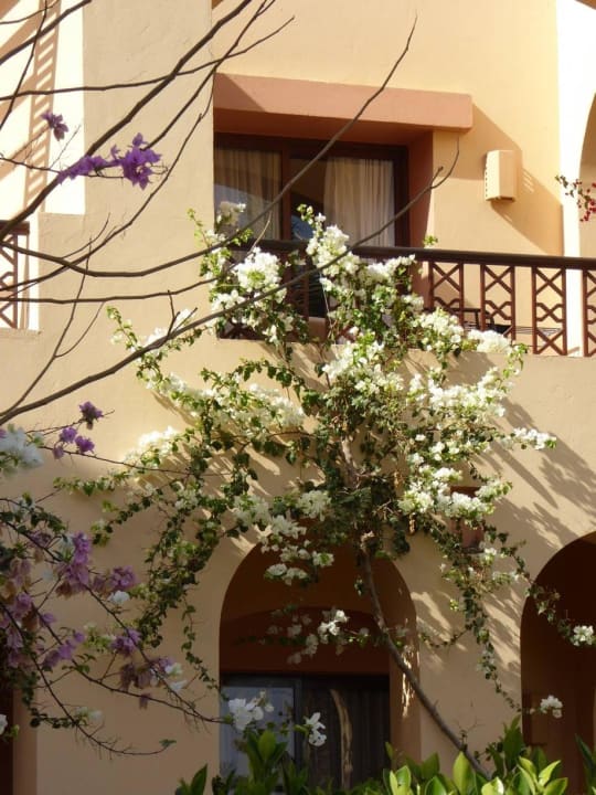 From our terrace Steigenberger Coraya Beach - Adults only