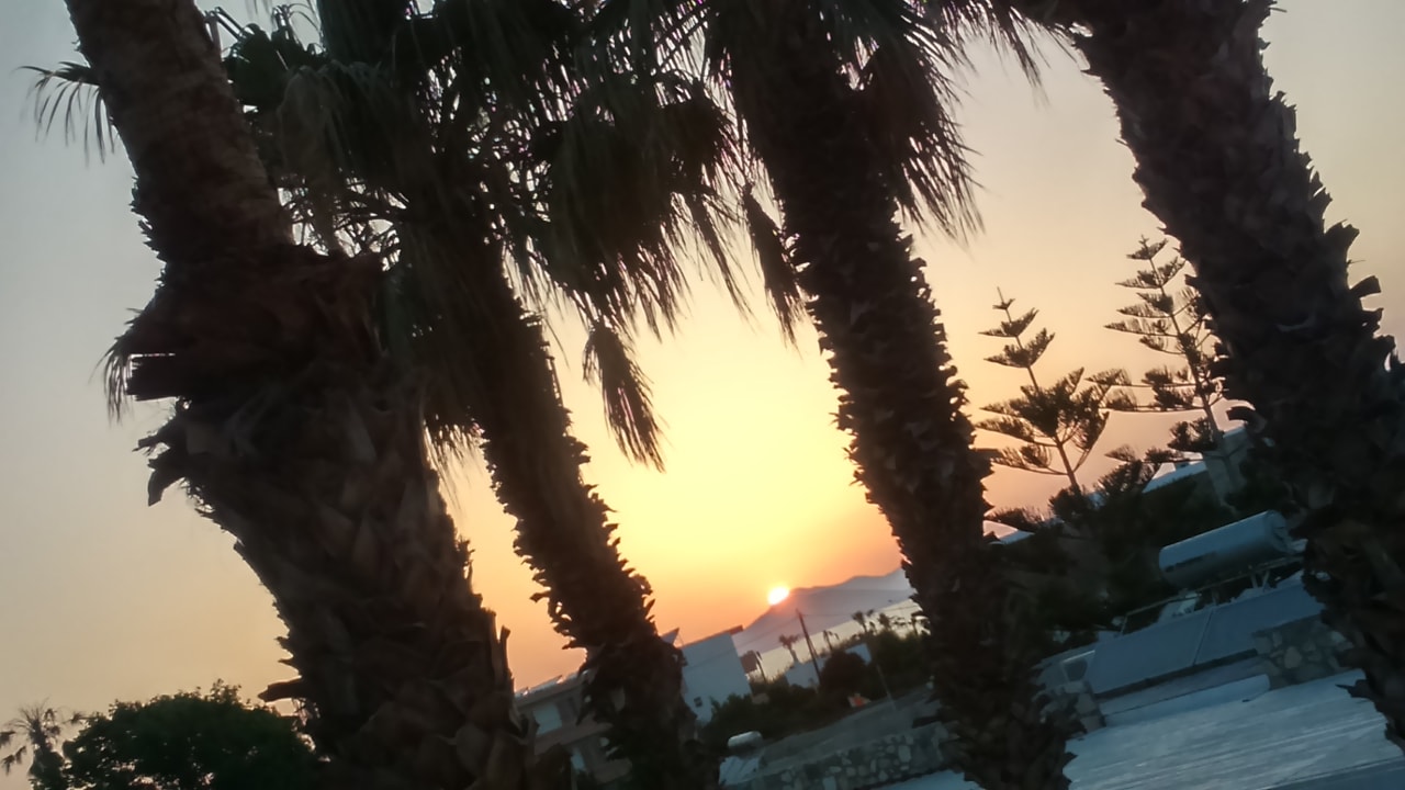 Gartenanlage Cosmopolitan Kos