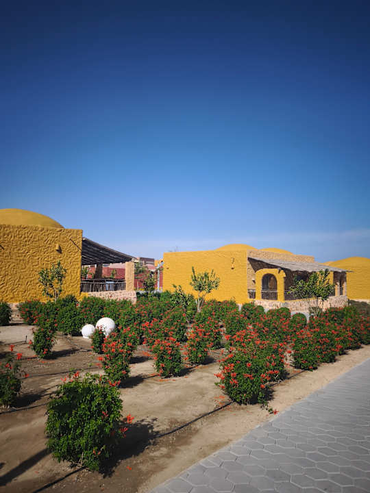 Gartenanlage Pickalbatros Villaggio Resort - Portofino