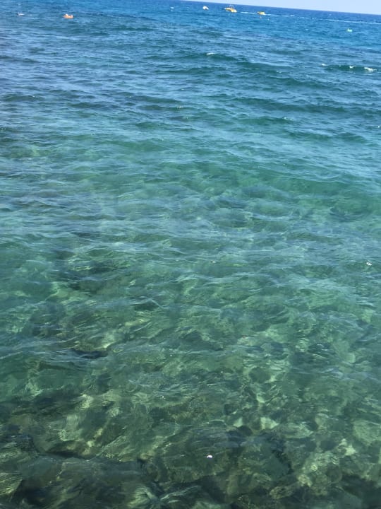 Strand Dizalya Palm Garden