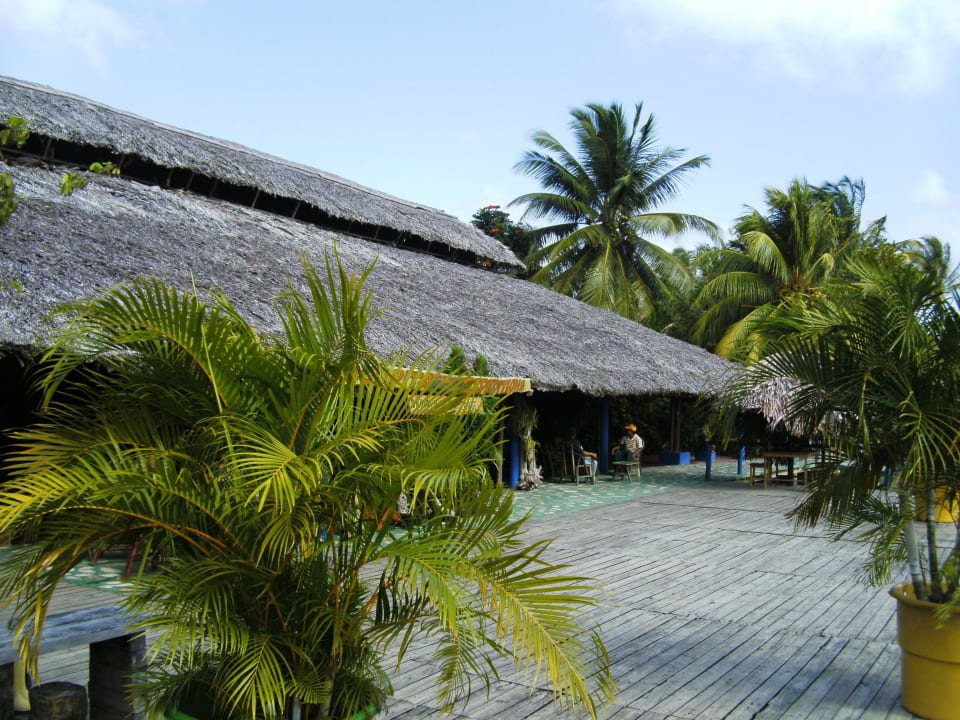 Außenansicht der Lodge Hotel Orinoco Delta Lodge