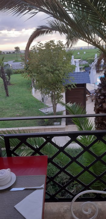 Gastro Mediterranean Princess