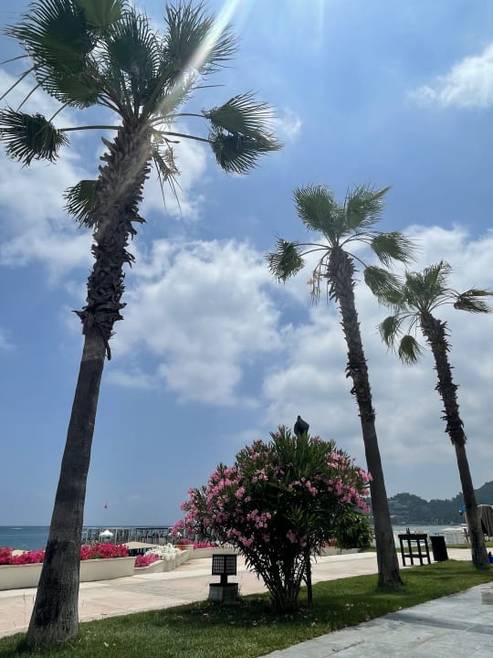 Gartenanlage Sherwood Exclusive Kemer