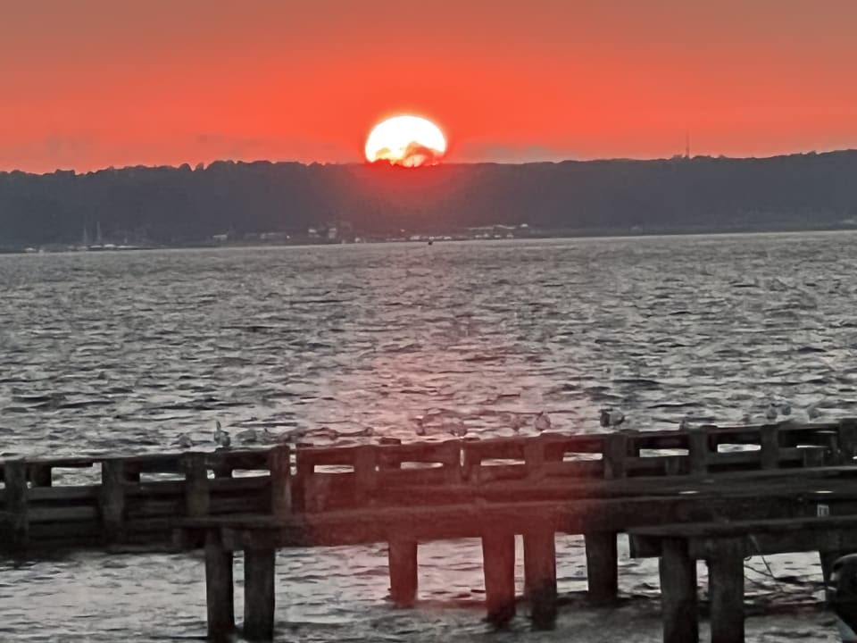 Ausblick Hotel Fleesensee Resort & Spa