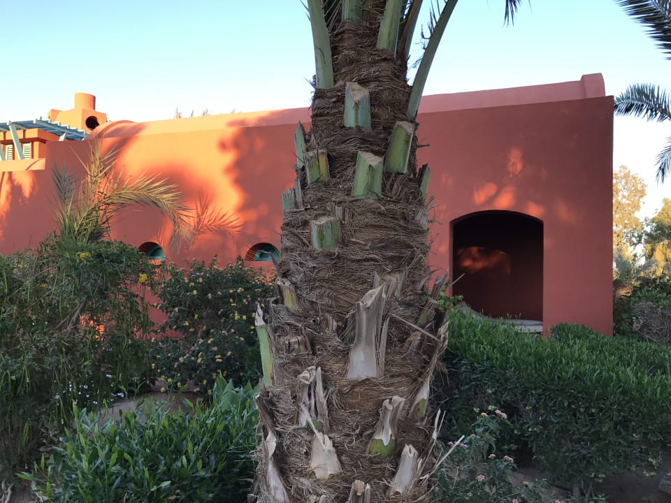 Zimmer Sheraton Miramar Resort El Gouna