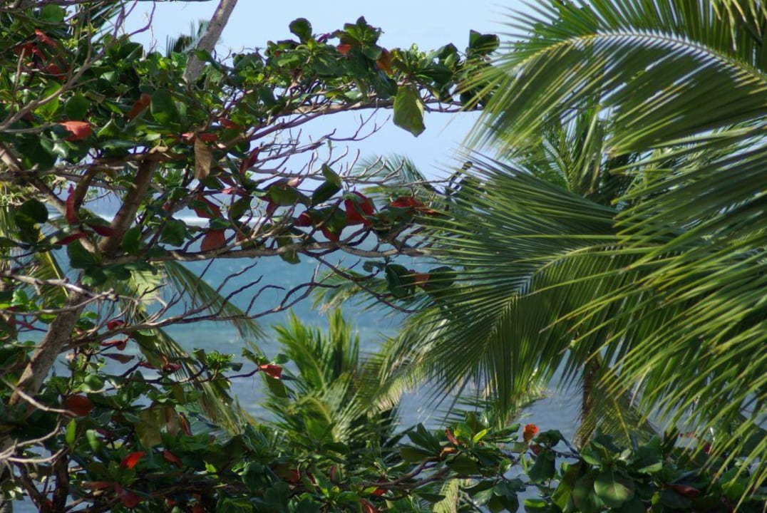 Täglicher Blick aufs Meer Neptune Beach Resort