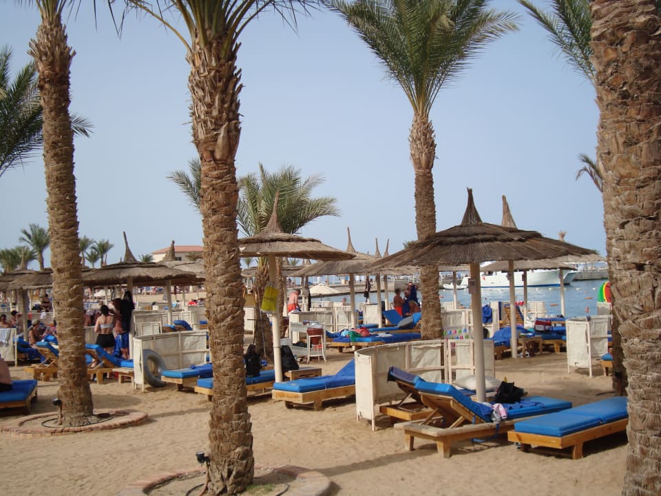 Strand Beach Albatros Resort