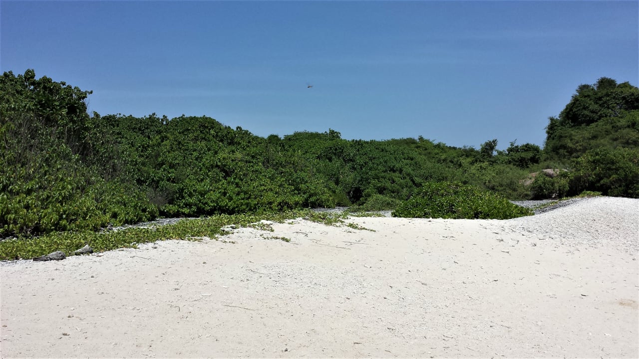 Strand Jungle Beach by Uga Escapes