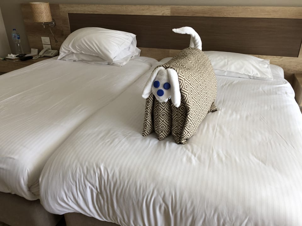 Zimmer Steigenberger Resort Ras Soma