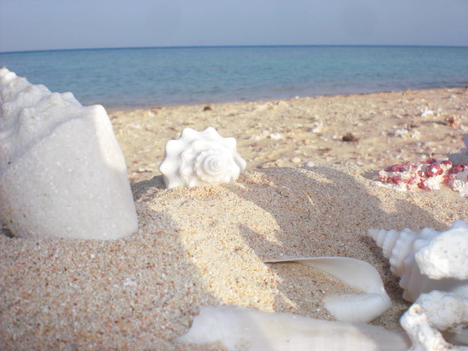 So schön Hotel Gorgonia Beach Resort