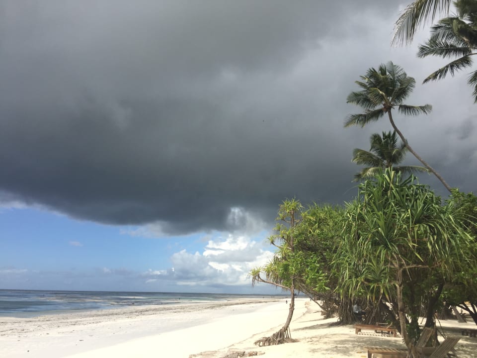 Strand Neptune Pwani Beach Resort & Spa