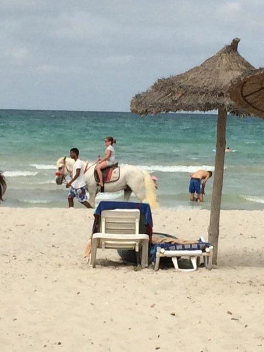 Pferdereiten Djerba Plaza Thalasso & Spa