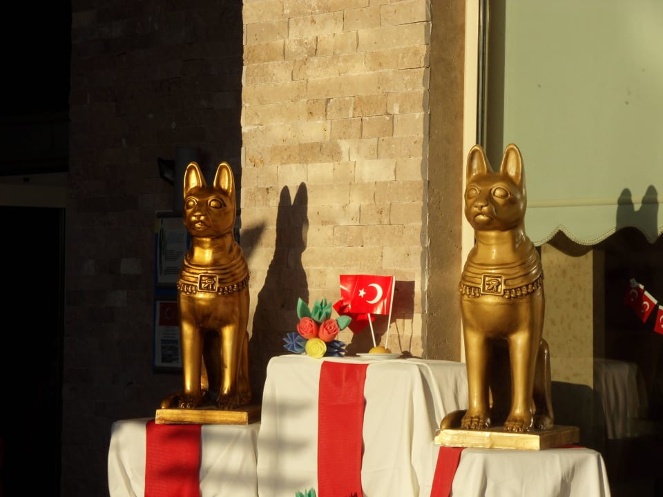 Die Katze wacht Horus Paradise Luxury Resort & Club