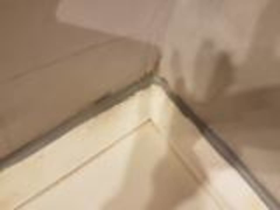 Zimmer Dreams Jardín Tropical