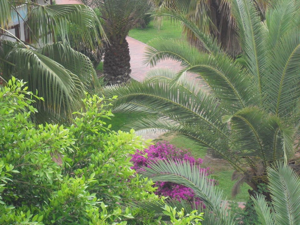 Garten Güral Premier Belek