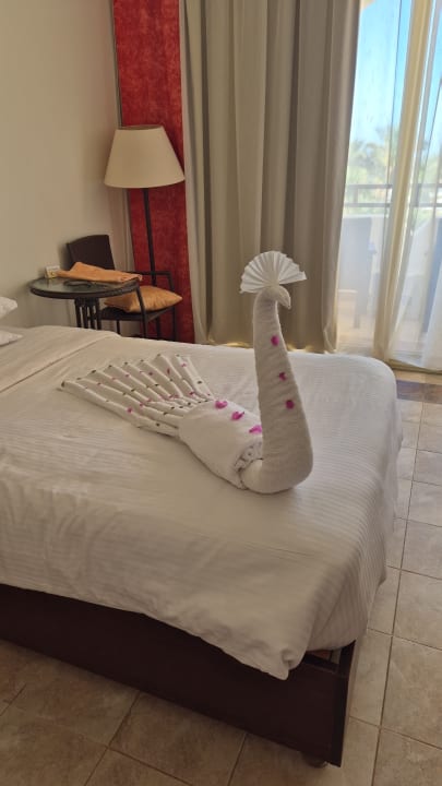 Zimmer Three Corners Equinox Beach Resort