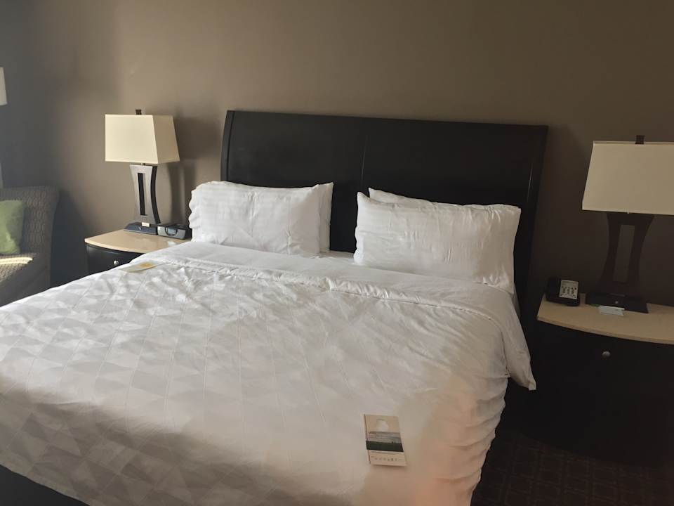 Zimmer Holiday Inn Charleston Historic Downtown