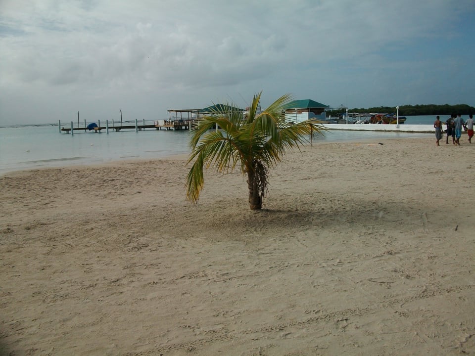 Strand whala!boca chica