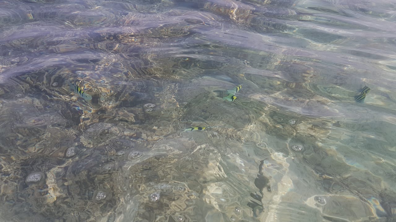 Strand Steigenberger Aqua Magic