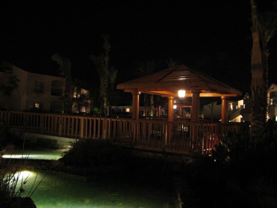 In der Gartenanlage Reef Oasis Blue Bay Resort