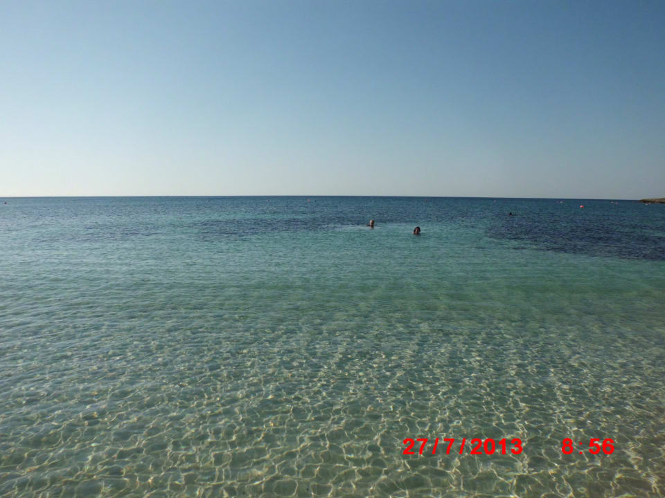 Wasser Asterias Beach