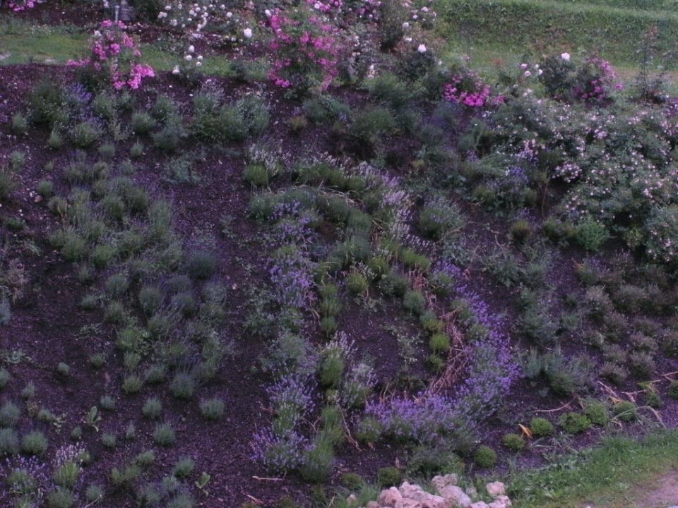 Gepflanztes Logo Spirit & SPA Hotel Birkenhof am Elfenhain