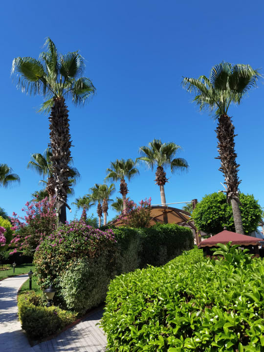 Außenansicht Aydinbey Kings Palace & Spa