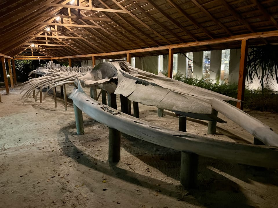 Sonstiges Meeru Maldives Resort Island