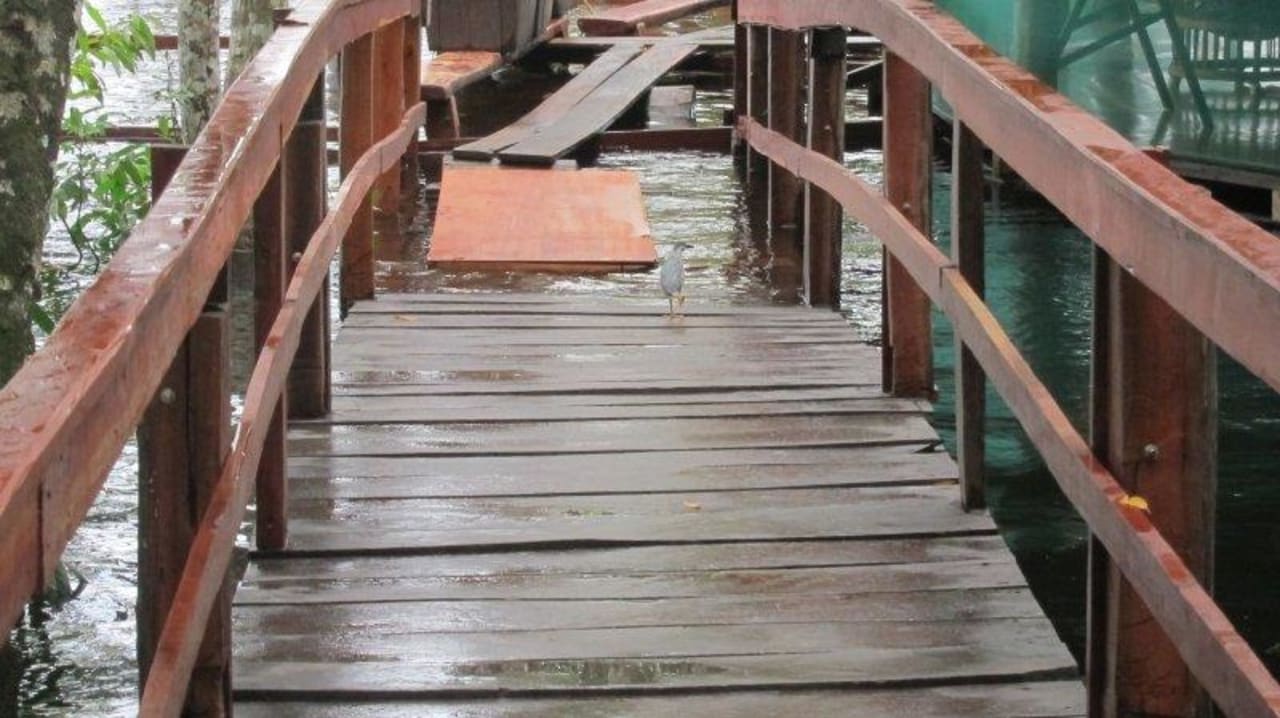 Steg Juma Lodge