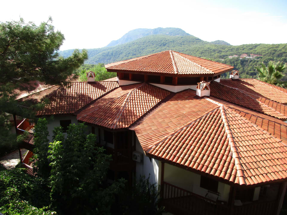 Blick Richtung Westen Montana Pine Resort