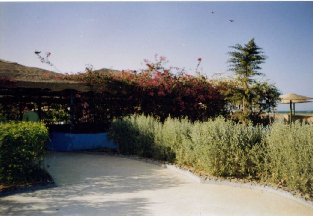 Arobic Area Golden Beach Resort
