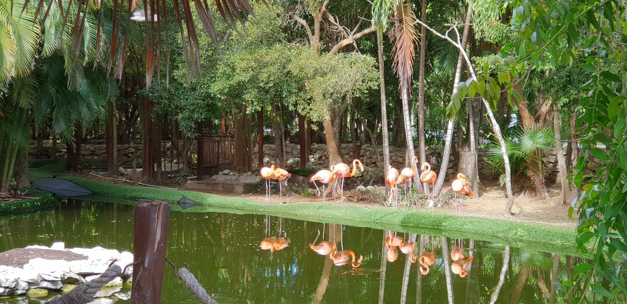 Gartenanlage Grand Palladium Select White Sand Resort & Spa