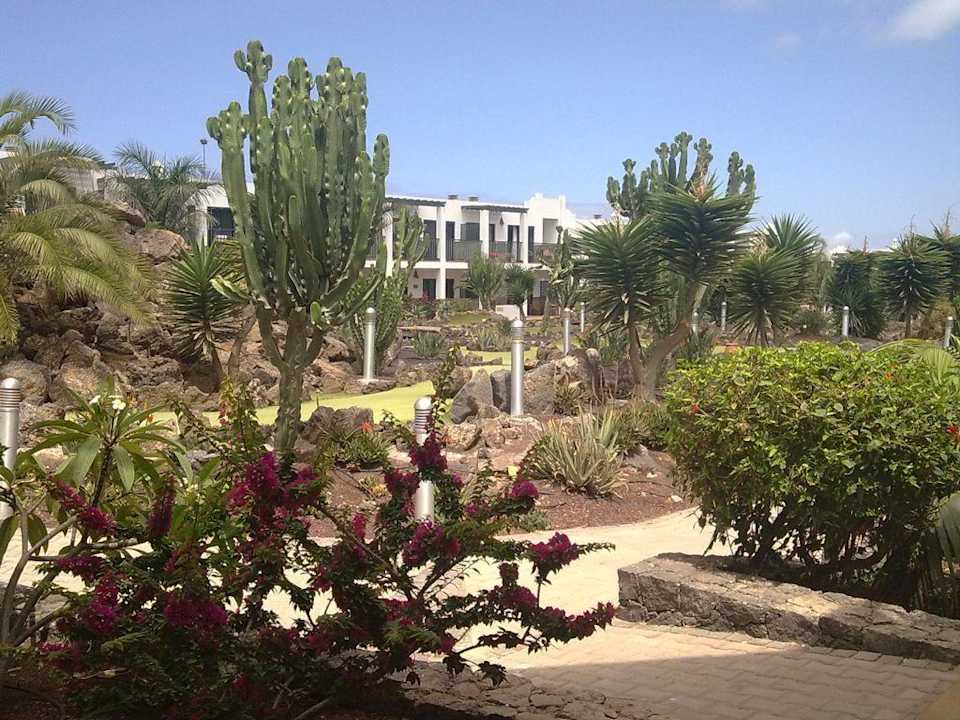 Außenanlage Hotel Las Marismas de Corralejo